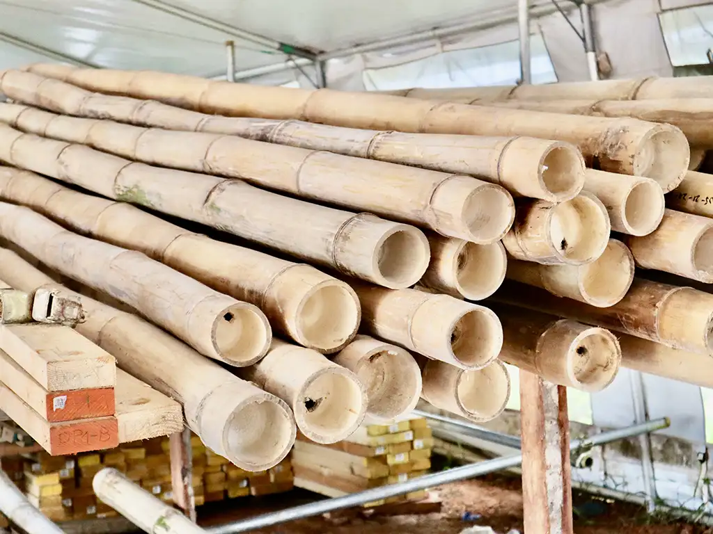 Philippines Typhoon Relief 2024 Volunteers Bamboo