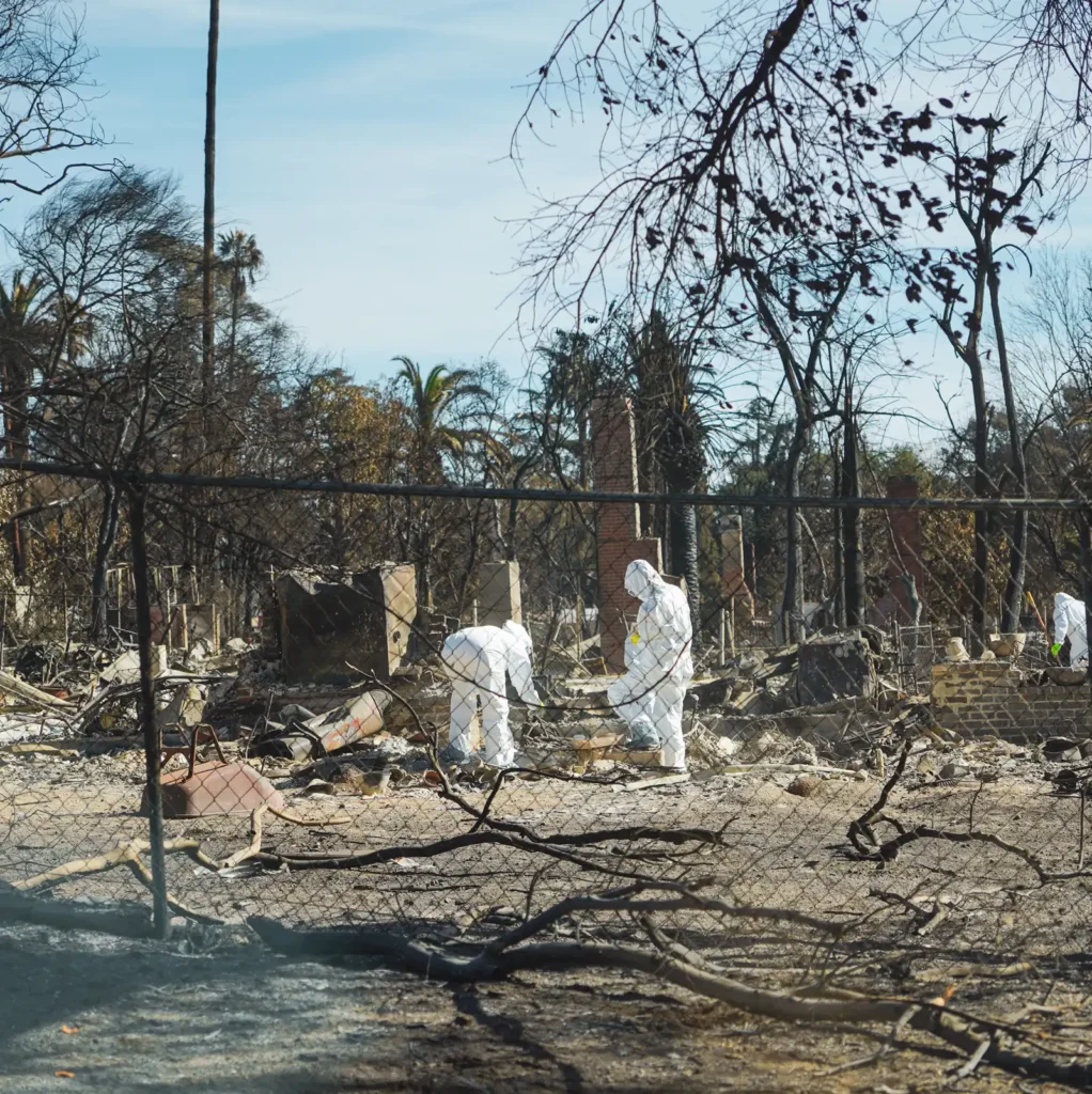 People in hazmat suits sift through debris and ash in a neighborhood destroyed by wildfire, with charred trees and remnants of buildings in the background.