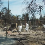 People in hazmat suits sift through debris and ash in a neighborhood destroyed by wildfire, with charred trees and remnants of buildings in the background.