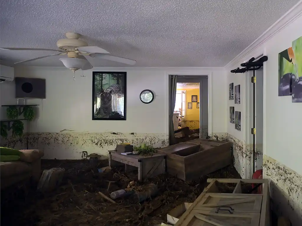 Hurricane Helene Destruction