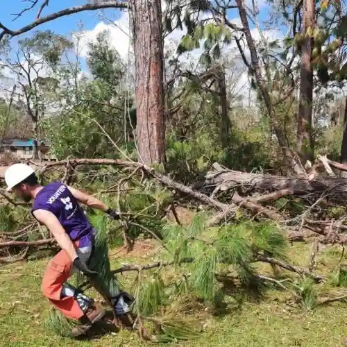 An All Hands and Hearts volunteer wearing a hard hat clears broken branches in a storm-damaged forest.