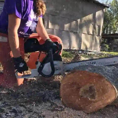 A volunteer in protective gear uses a chainsaw to cut through a fallen tree trunk.
