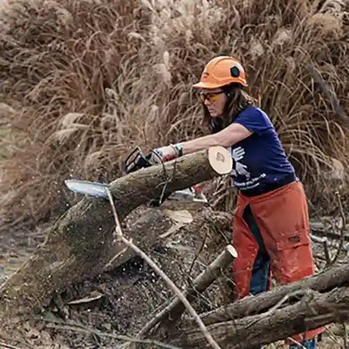 Kentucky tornado relief volunteer in safety gear cutting a fallen tree with a chainsaw during cleanup efforts.