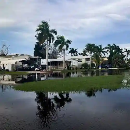 alm trees and houses are reflected in still floodwater covering lawns and driveways in a residential neighborhood.
