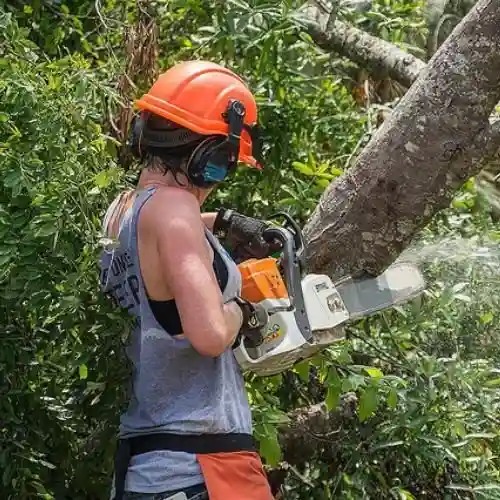 Volunteer wearing protective gear uses a chainsaw to cut through a large fallen tree blocking a path after a tornado.