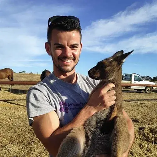 All Hands and Hearts team member holding a kangaroo