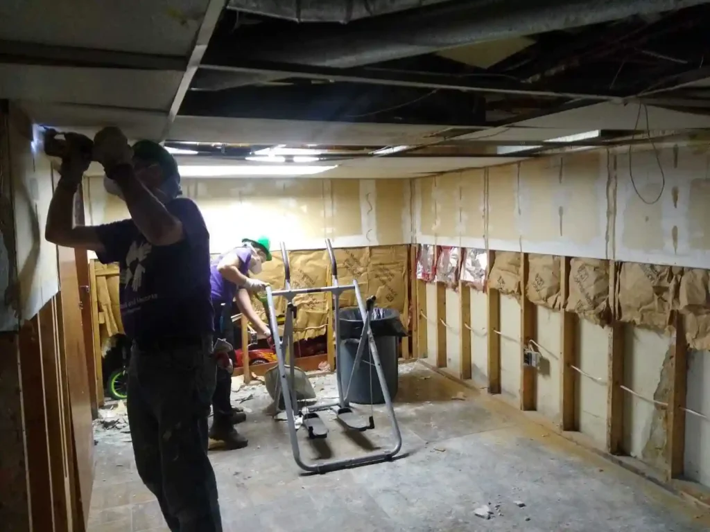 Basement Muck and Gut Hero