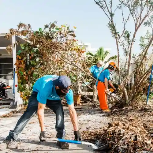 Volunteers in the Florida Keys cut and clear fallen trees and brush during hurricane cleanup efforts.
