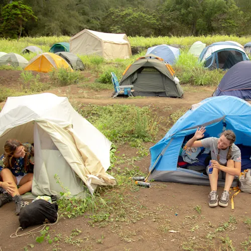 Rows of colorful tents in a Maui volunteer camp, with two relief workers talking outside their shelters.