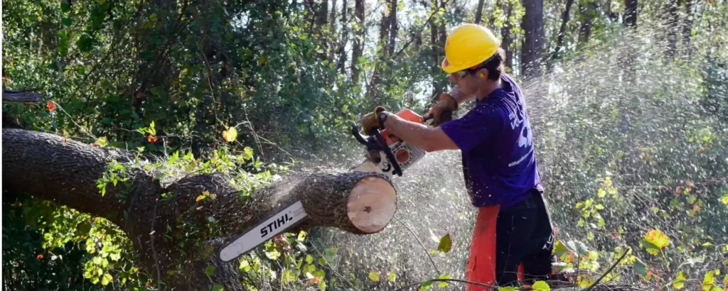 Volunteer chain sawing debris
