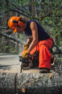 Volunteer Chainsawing