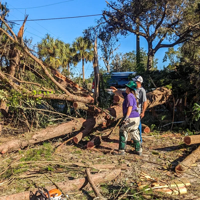 Florida tornado relief volunteers assess damage and cut fallen trees blocking a neighborhood.